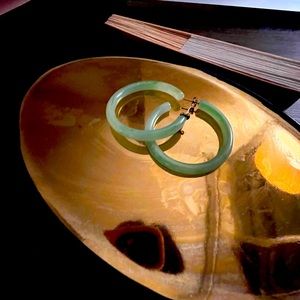 Hoop lucite earrings